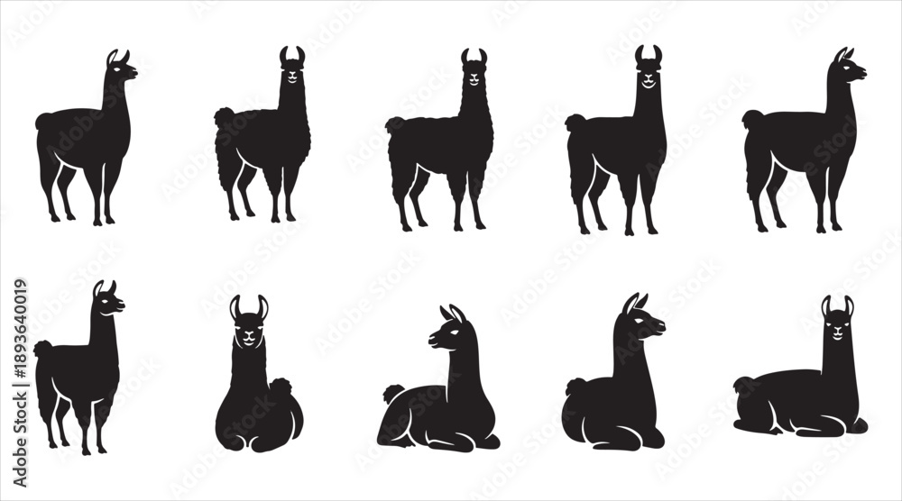 Fototapeta premium Llama and Alpaca Silhouette Vector Collection: Minimalist South American Camelid Icons, Standing and Sitting Farm Animal Graphics for Logo Design and Andean Travel Branding