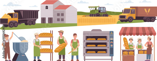 Bread production supply chain vector illustration showing wheat farming harvesting baking bakery workers ovens delivery trucks and food distribution process