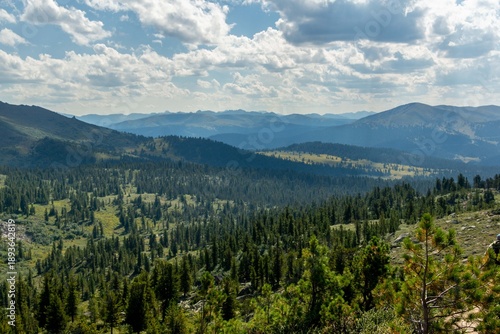 Mountain landscape. Beautiful view of the mountains covered with coniferous forest. Ergaki Nature Park.