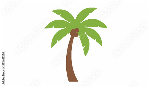 Coconut tree flat vector illustration simple tropical palm isolated on white background