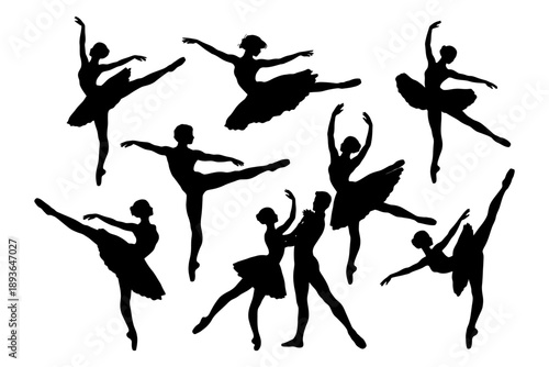 Adobe Illustrator Artwork