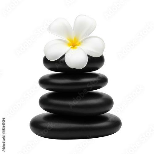 White plumeria 3d flower gracefully balances on a serene stack of black spa stones, symbolizing peace and wellness