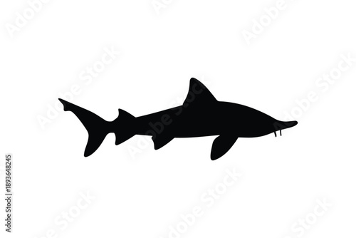 Shark icon symbol isolated on white background, large marine predator animal silhouette illustration