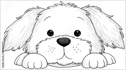 Cute fluffy white puppy dog illustration peeking, hand drawn black and white pet sketch art