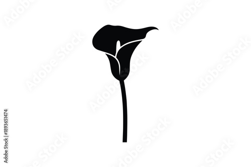 Black silhouette of a calla lily flower on a white background isolated single bloom plant