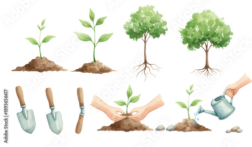 Photos Watercolor Planting Green Plants Vector Infographic Set for Agriculture