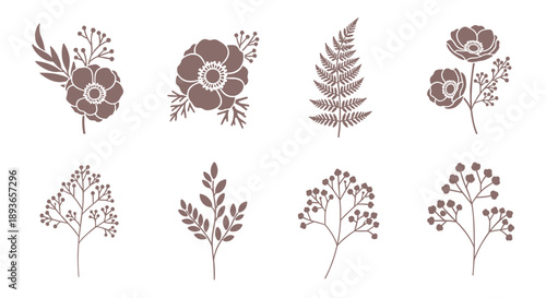 Collection of elegant botanical illustrations, including anemones, ferns, and delicate branches
