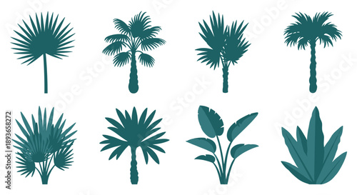 Collection of Silhouetted Tropical Palm Trees and Exotic Plants on White Background