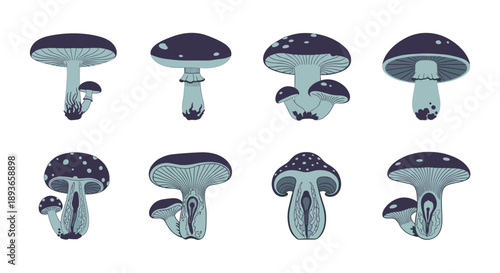 Collection of stylized illustrations of various mushrooms in blue and white tones