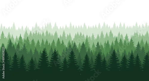 Vibrant Coniferous Green Treetops in Tranquil Serenity