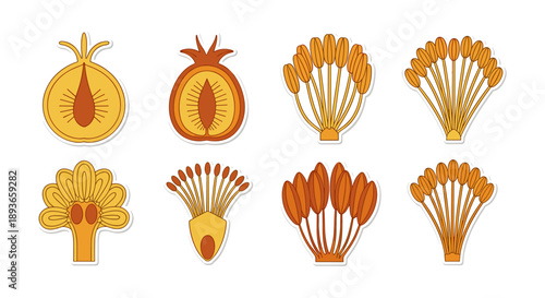 Collection of stylized botanical illustrations: fruits and flower stamens, flat design elements