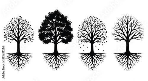 Four seasonal trees in silhouette depict a natural cycle of renewal, growth, fall, and dormancy against a crisp white backdrop