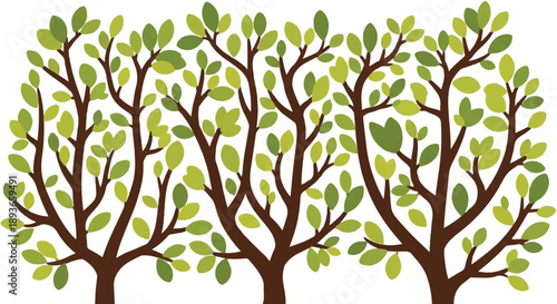 Illustrating three brown trees with green leaf in a cartoon style on a plain background