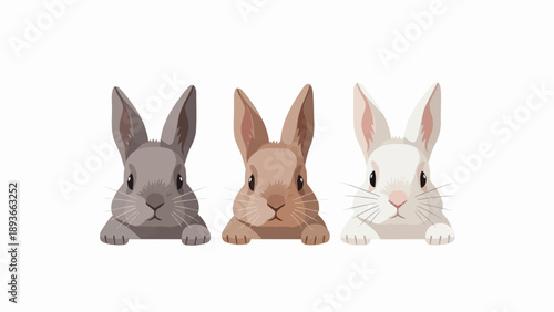 Three cute rabbits in different colors peeking over