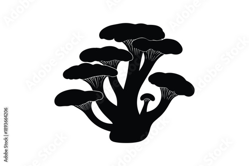 Cluster of oyster mushrooms, edible fungi, natural organic food, healthy ingredient