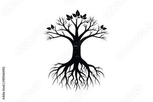 Black silhouette of tree with deep roots and small leaves on branches isolated on white background for design