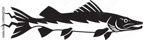 Black and white of a fish with whiskers and detailed fins aquatic