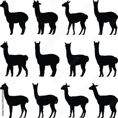 Llama silhouette, animal pose, standing figure, wooly shape, farm icon, posture grid, flat vector illustration