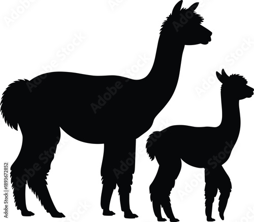 Alpaca mother and baby silhouette flat vector illustration, black llama animal icon isolated on white background, wildlife mammal logo
