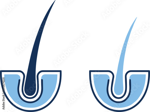 Hair follicle and scalp cross section icons set illustrating hair growth root skin anatomy dermatology vector design