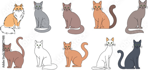 Cute sitting cat characters collection in different colors and poses, minimalist cartoon kitten vector illustration set