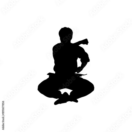 Silhouette of a martial artist in a seated stance.