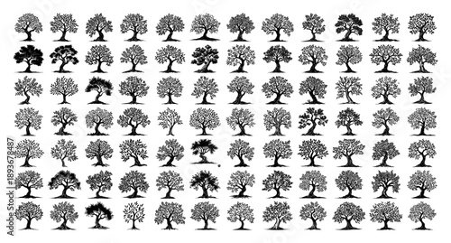 Large collection of detailed tree silhouettes and icons in black and white engraving style