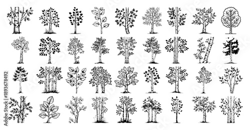 Hand drawn tree sketches and line art icons set isolated on white background