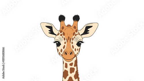 Close up portrait of a baby giraffe with large brown eyes and a long neck looking straight forward on a white background.
