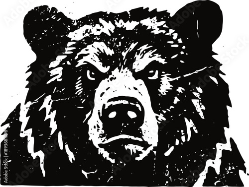 Grizzly bear close up illustration with fierce gaze and textured fur in black and white