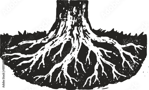 Tree roots underground spreading wide from the base of the trunk illustration