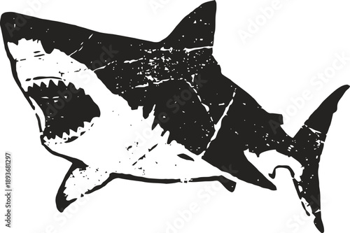 Great white shark illustration with open mouth showing teeth in dynamic swimming pose