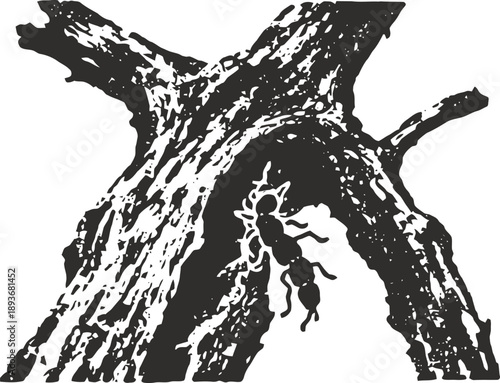 Ant black insect climbing on textured tree bark natural wood outdoor wildlife