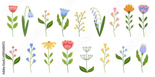 Hand drawn elegant floral botanical flat art. Simple folk elements of wild and garden flowers, branches, leaves, herbs. Vector illustration for spring, easter, birthday, wedding design