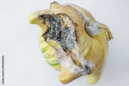 Canvas Print Cut the rotten pumpkin