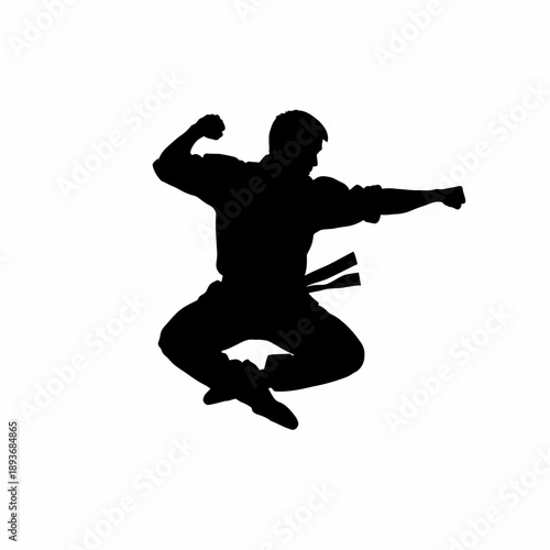 Silhouette of a martial artist jumping and punching in air.