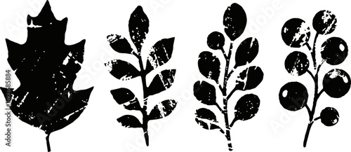 Black and white vintage botanical leaf and berry silhouettes set nature elements collection with textured ink effect
