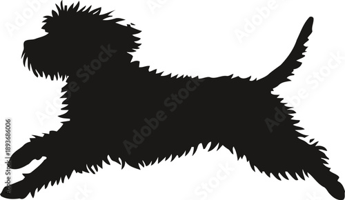 Silhouette of a playful dog running with fluffy fur and wagging tail in motion