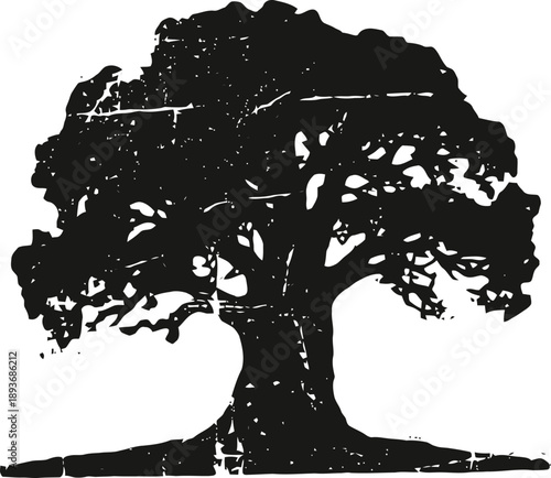 Large oak tree silhouette with sprawling branches and dense foliage isolated on white background