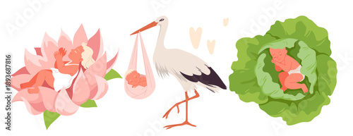 Cute newborn babies depicted in a lotus flower, carried by a stork, and nestled in a cabbage leaf, playful birth and childhood concept isolated on white background vector illustration