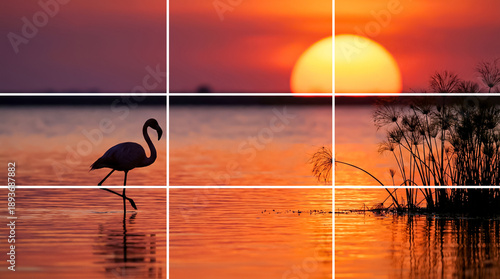 3x3 Grid on flamingo silhouette at fiery sunset over calm water, reeds and reflections. Panoramic framing aid for wildlife and travel photography. 