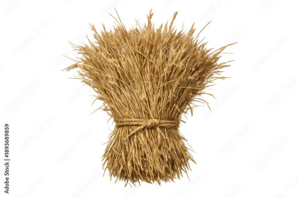 Fototapeta premium Dried wheat sheaf bundle tied with rope, symbolizing harvest, agriculture, and rural traditional farming