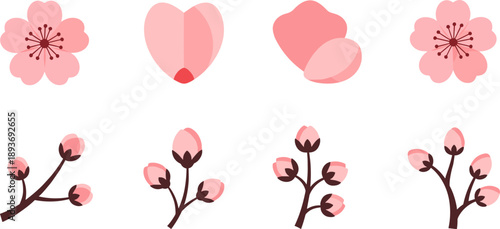 Collection of stylized pink cherry blossoms and buds on branches, vector illustration