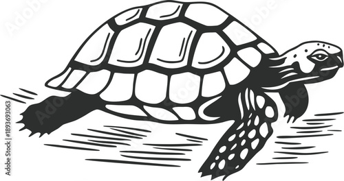 turtle marine animal silhouette vector illustration
