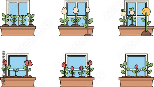 Stages of plant growth in window boxes, from seedlings to blooming flowers