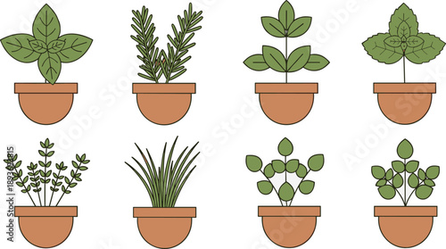Collection of potted herbs and plants in a simple flat design style