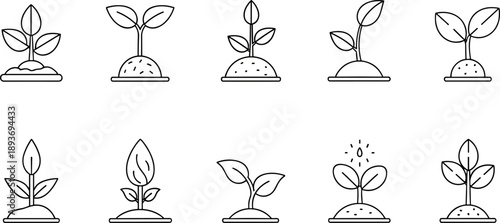 Collection of simple line art icons depicting plant growth stages and watering