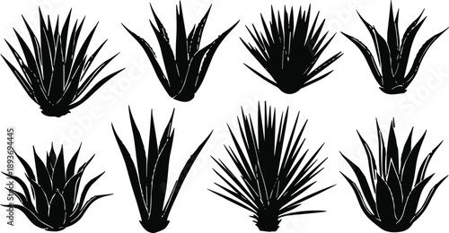 agave silhouette, desert plant, botanical sketch, black and white, succulent design, nature vector, agave artwork, plant composition, silhouette set, leaf 