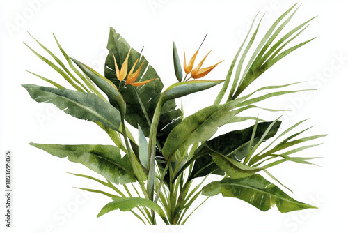 Watercolor tropical plant green leaves orange bird of paradise flower botanical illustration lush foliage exotic nature vibrant decorative isolated on white