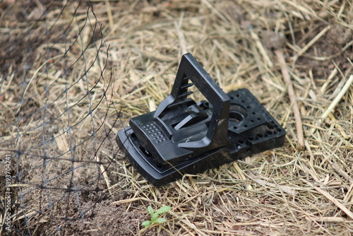 Fotografija A plastic mouse trap stands on a garden bed, a trap for rodents, voles, and pests